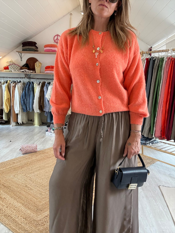 Pantalon fluide - viscose et soie